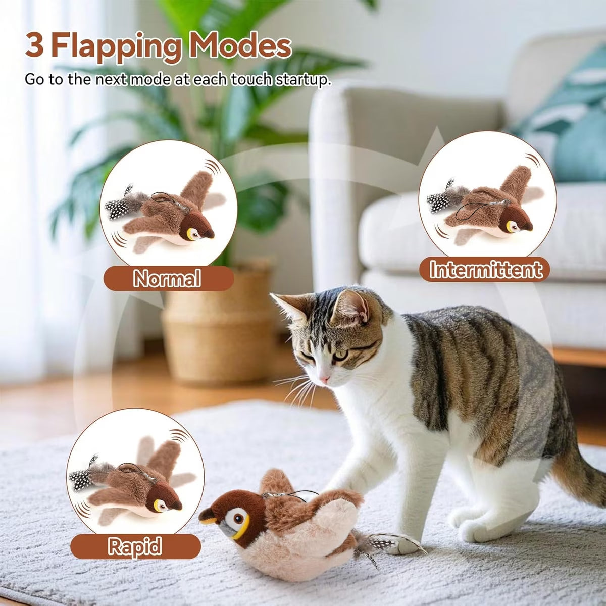Bird toy